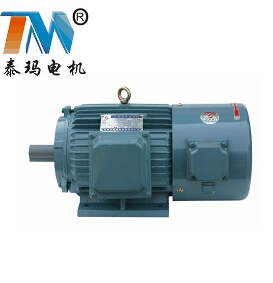 供應變頻調速三相異步電動機_長沙